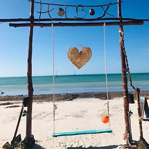 Pachamama - & Private Auberge de jeunesse Holbox